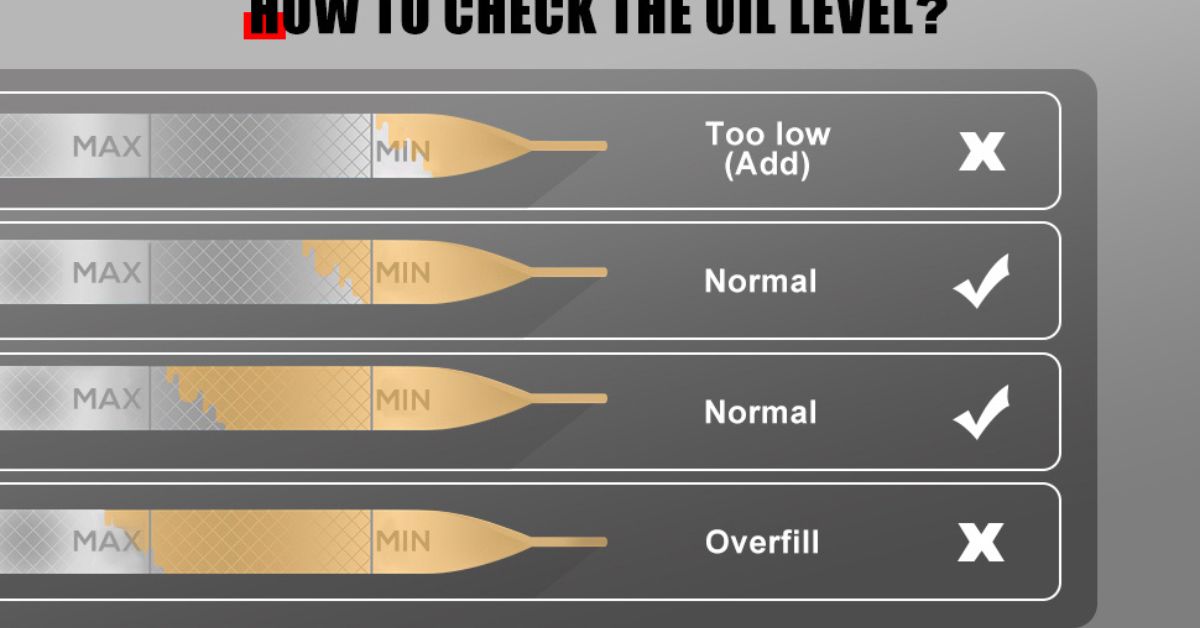 check engine oil warm or cold